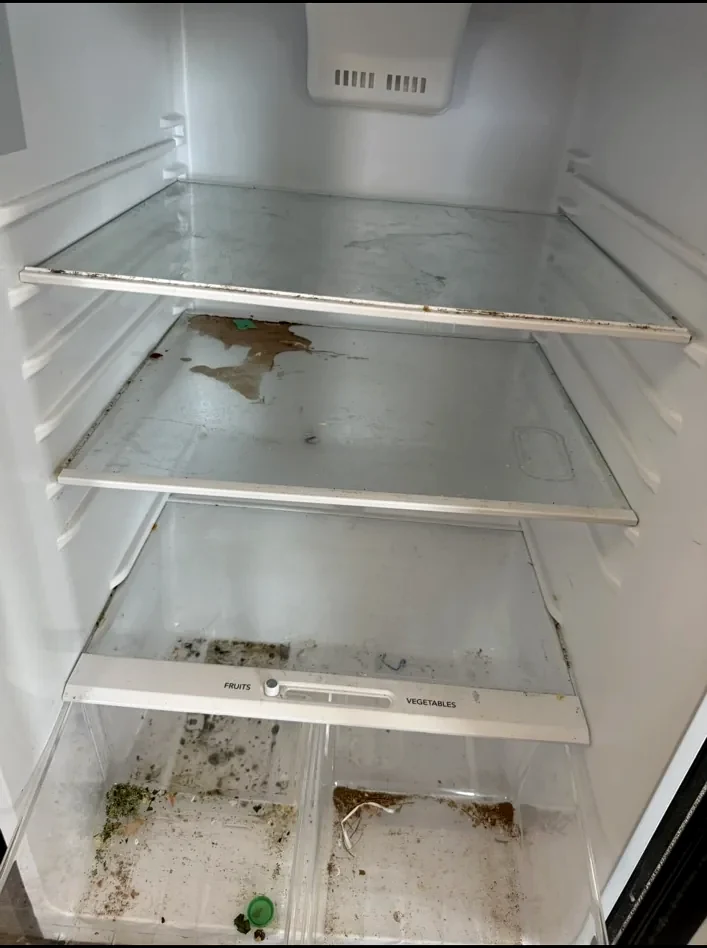 Refrigerator before deep cleaning