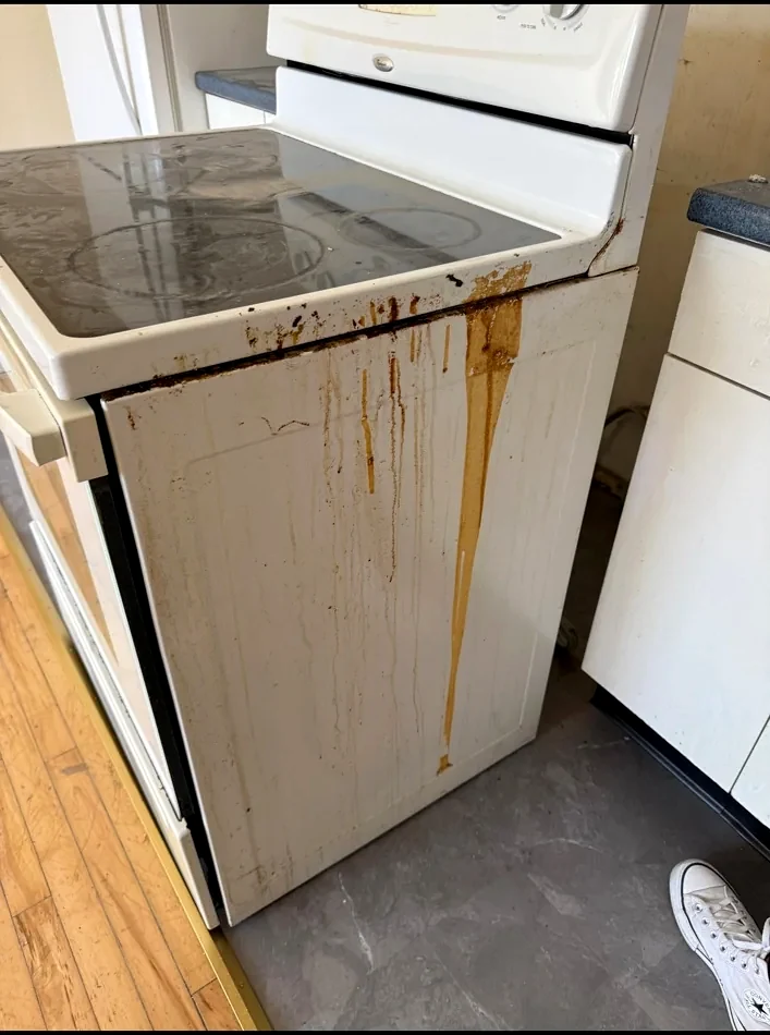 Appliance before cleaning